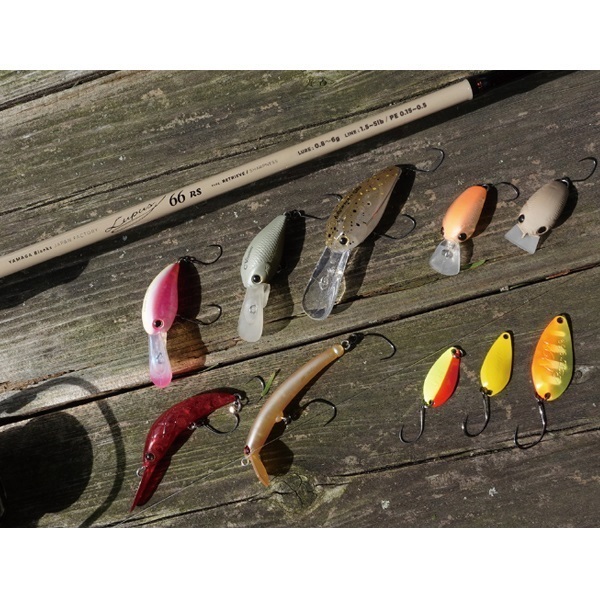 Lupus for Area Trout